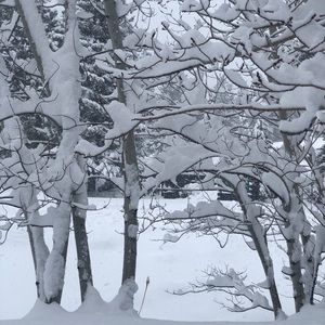 Meet your Posher, Criseidi